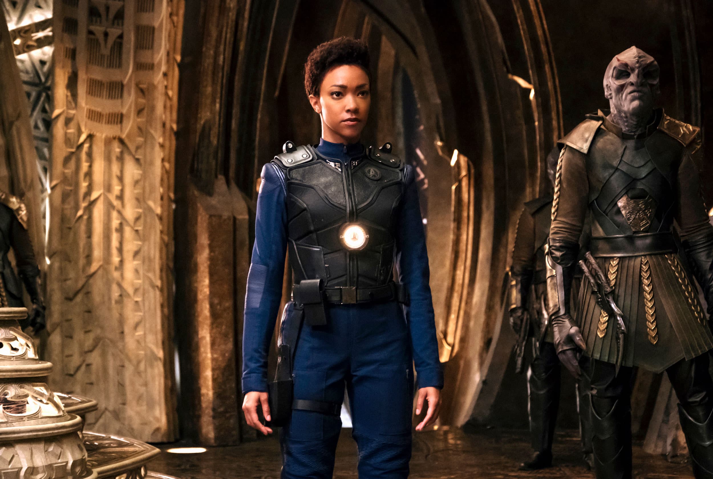 Into the Forest I Go - Screenshot 12