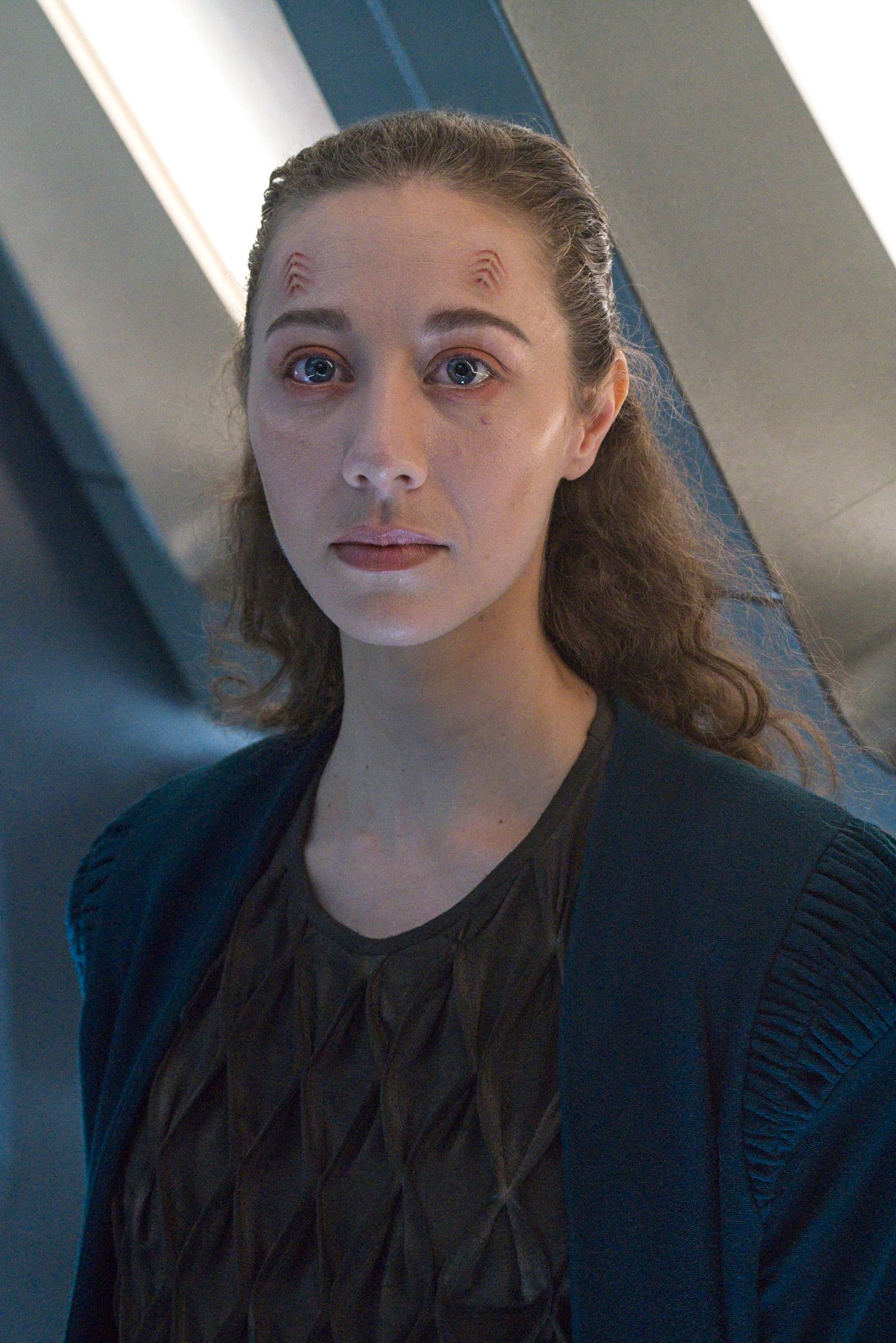 The Examples - Screenshot 2