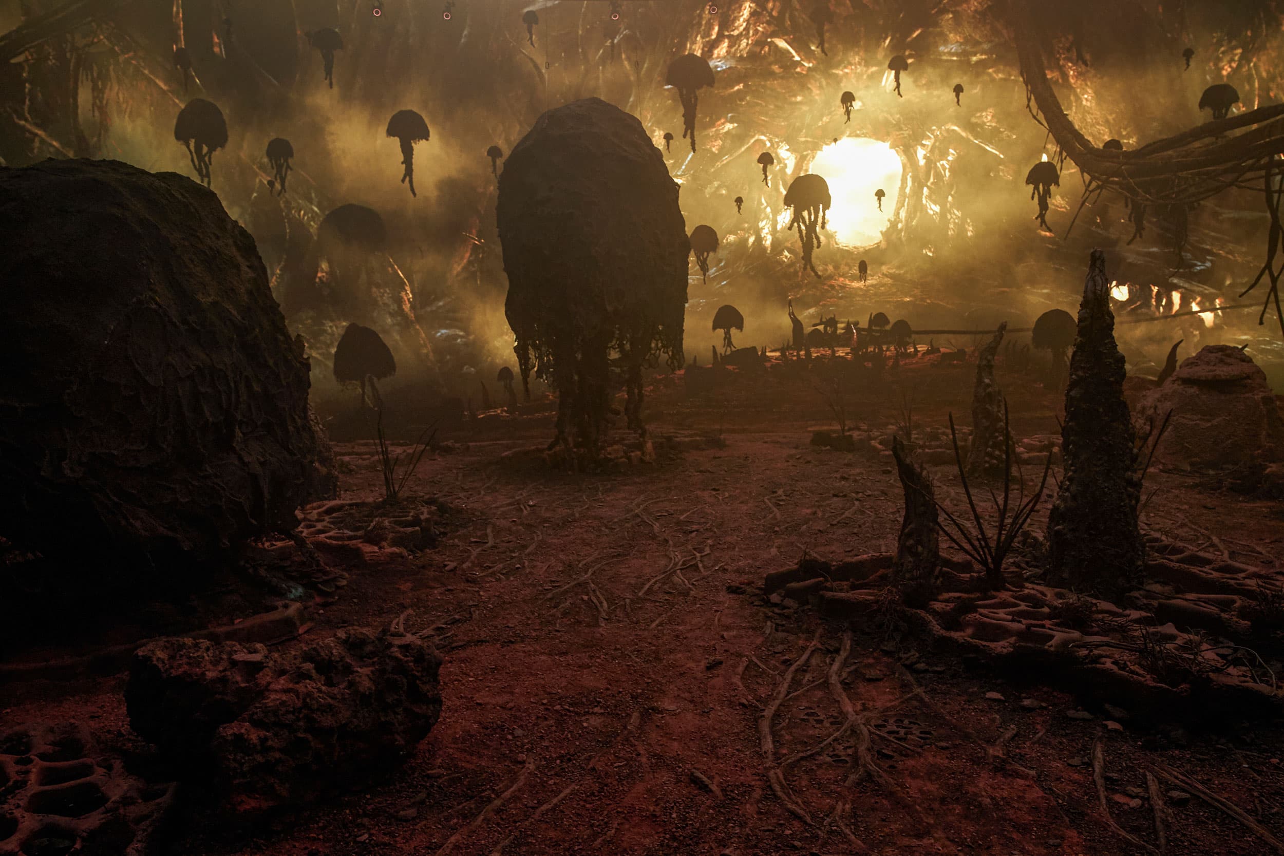 Rosetta - Screenshot 3