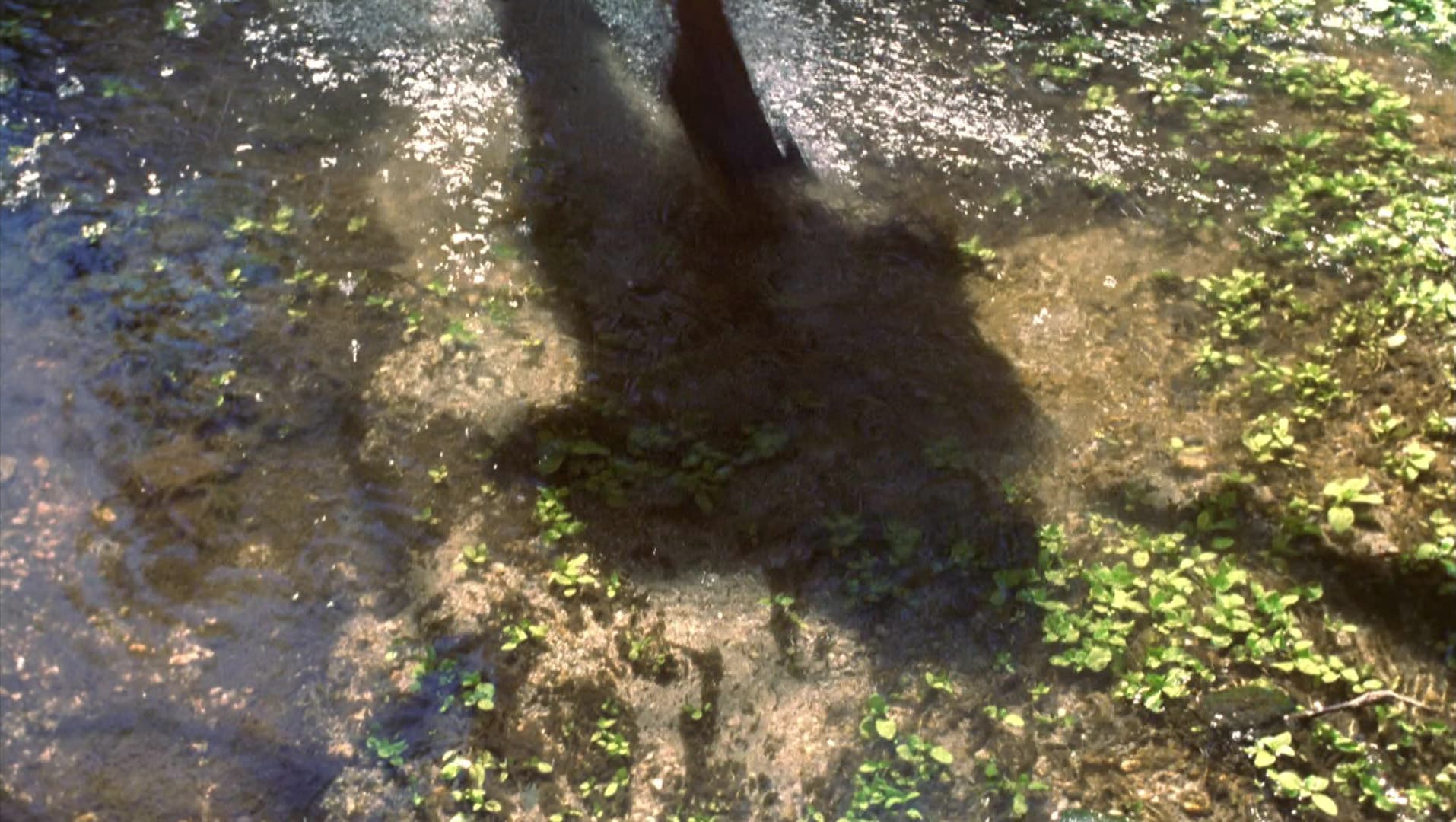 Terra Nova - Screenshot 3