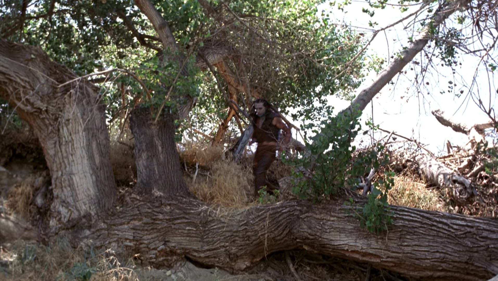 Terra Nova - Screenshot 6