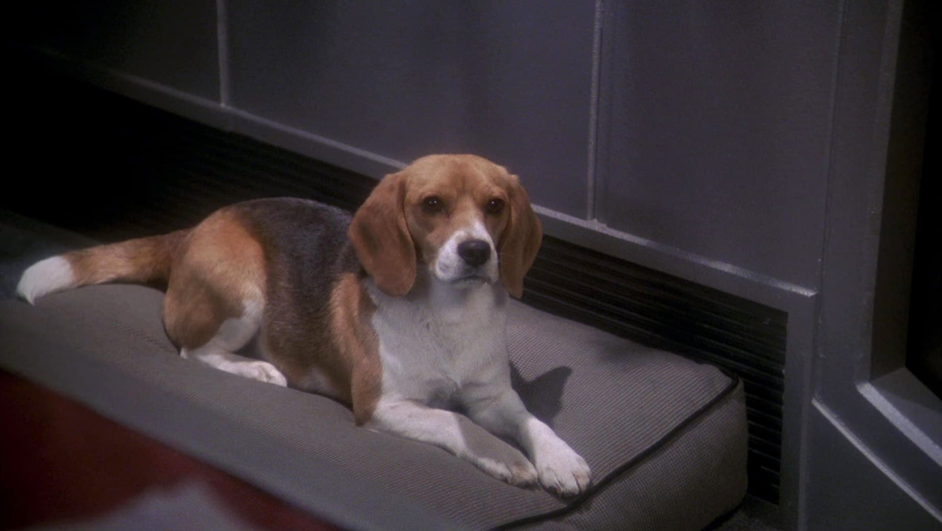 Desert Crossing - Screenshot 5