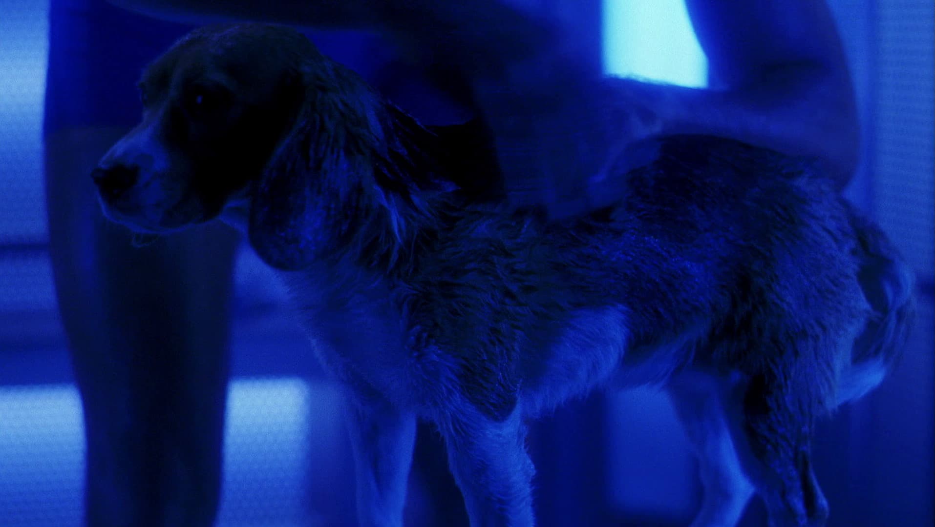 A Night in Sickbay - Screenshot 7