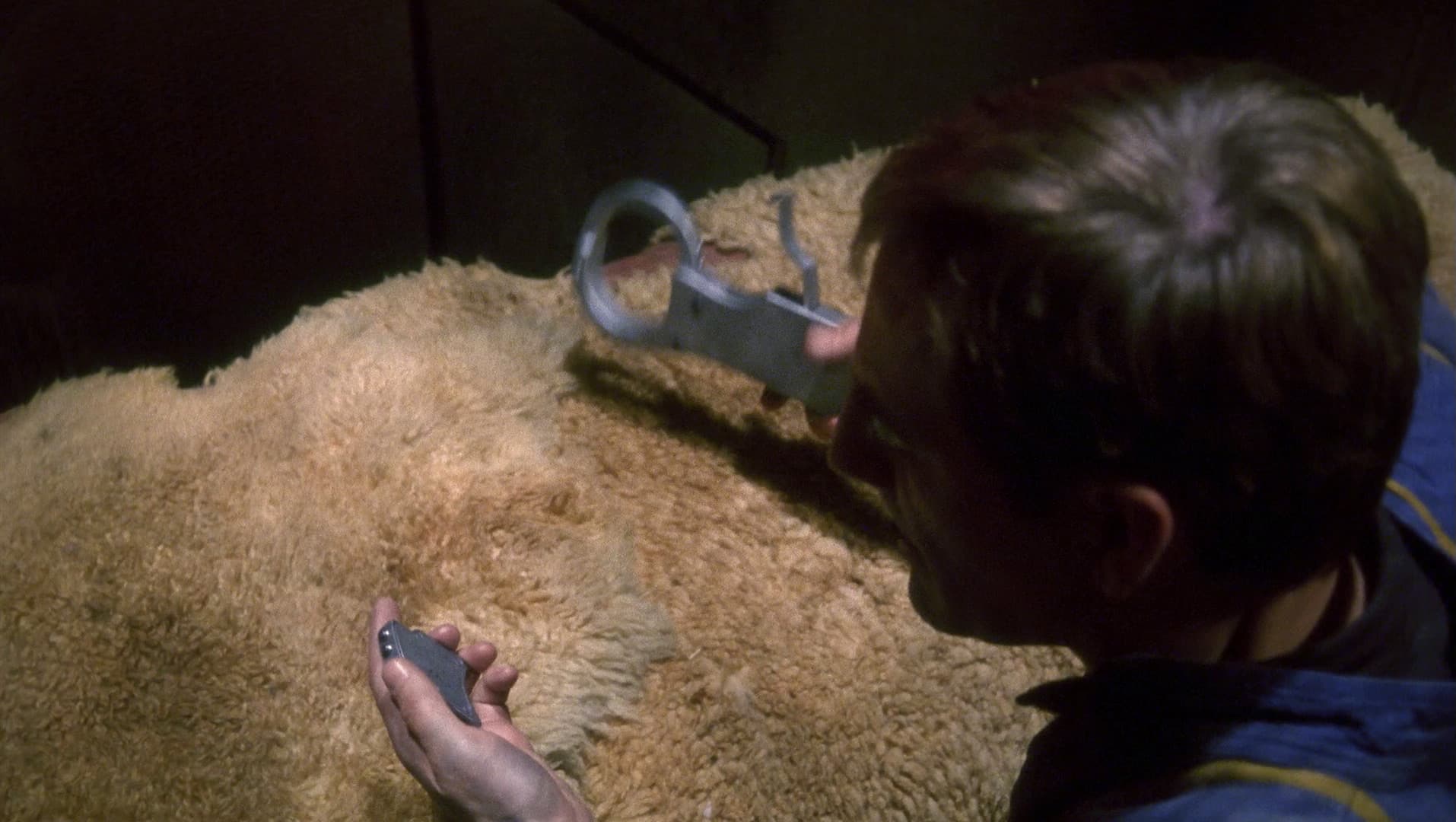 Bounty - Screenshot 3