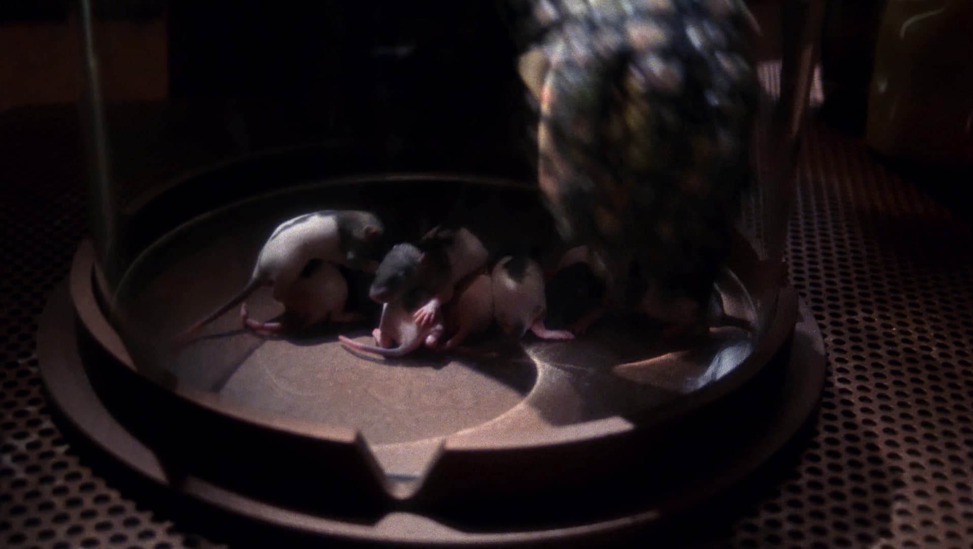 Zero Hour - Screenshot 6