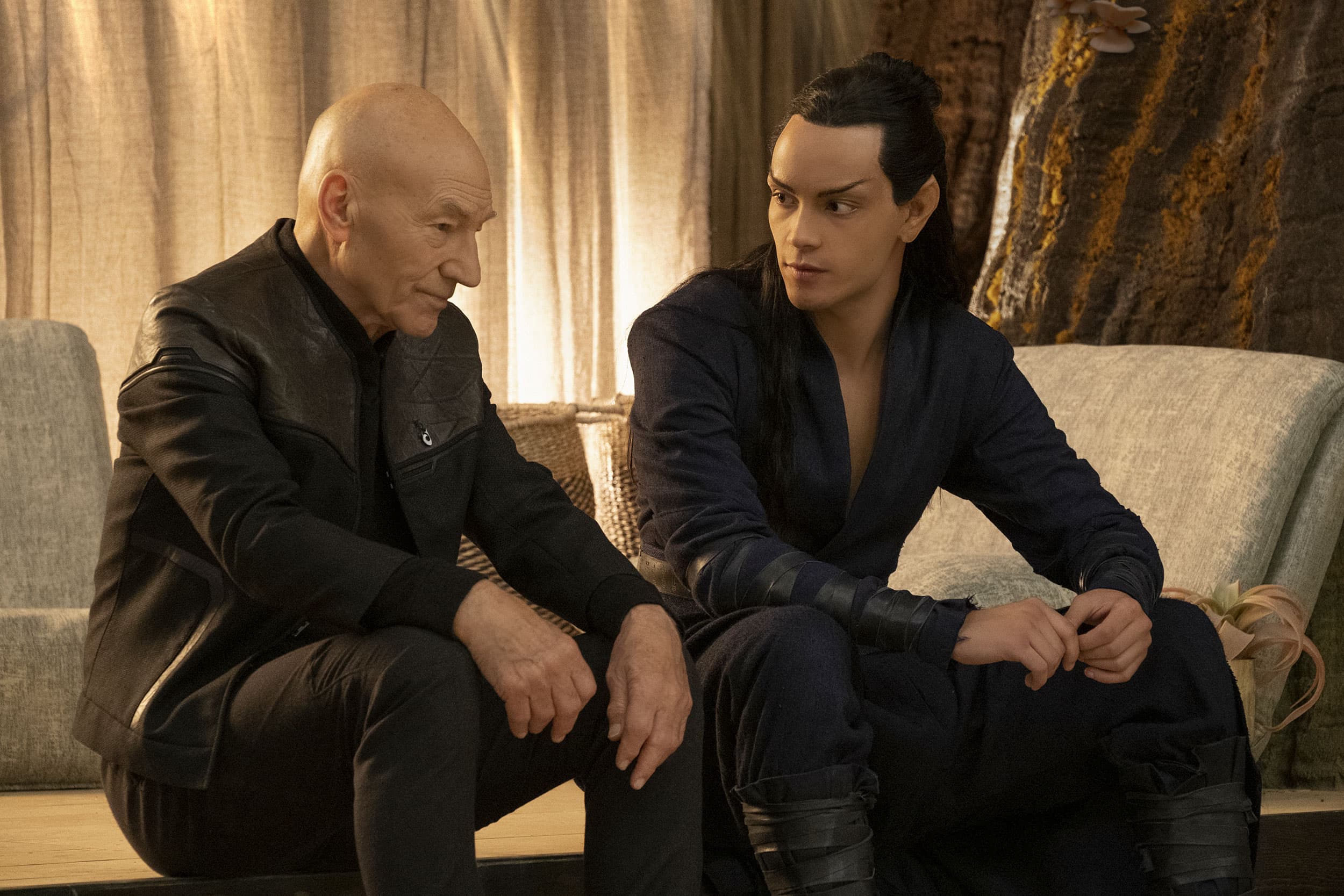 Absolute Candor - Screenshot 11