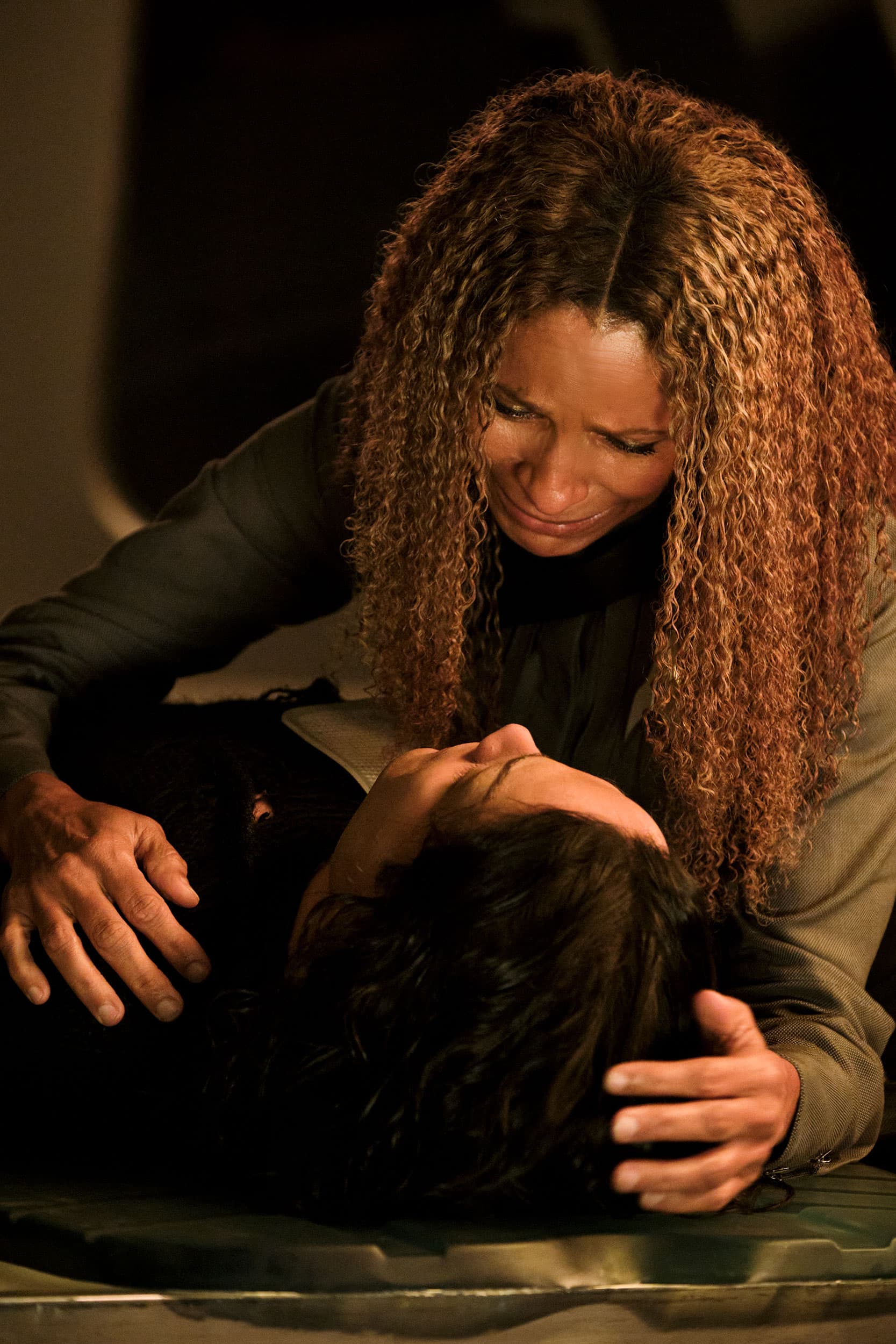 Assimilation - Screenshot 8