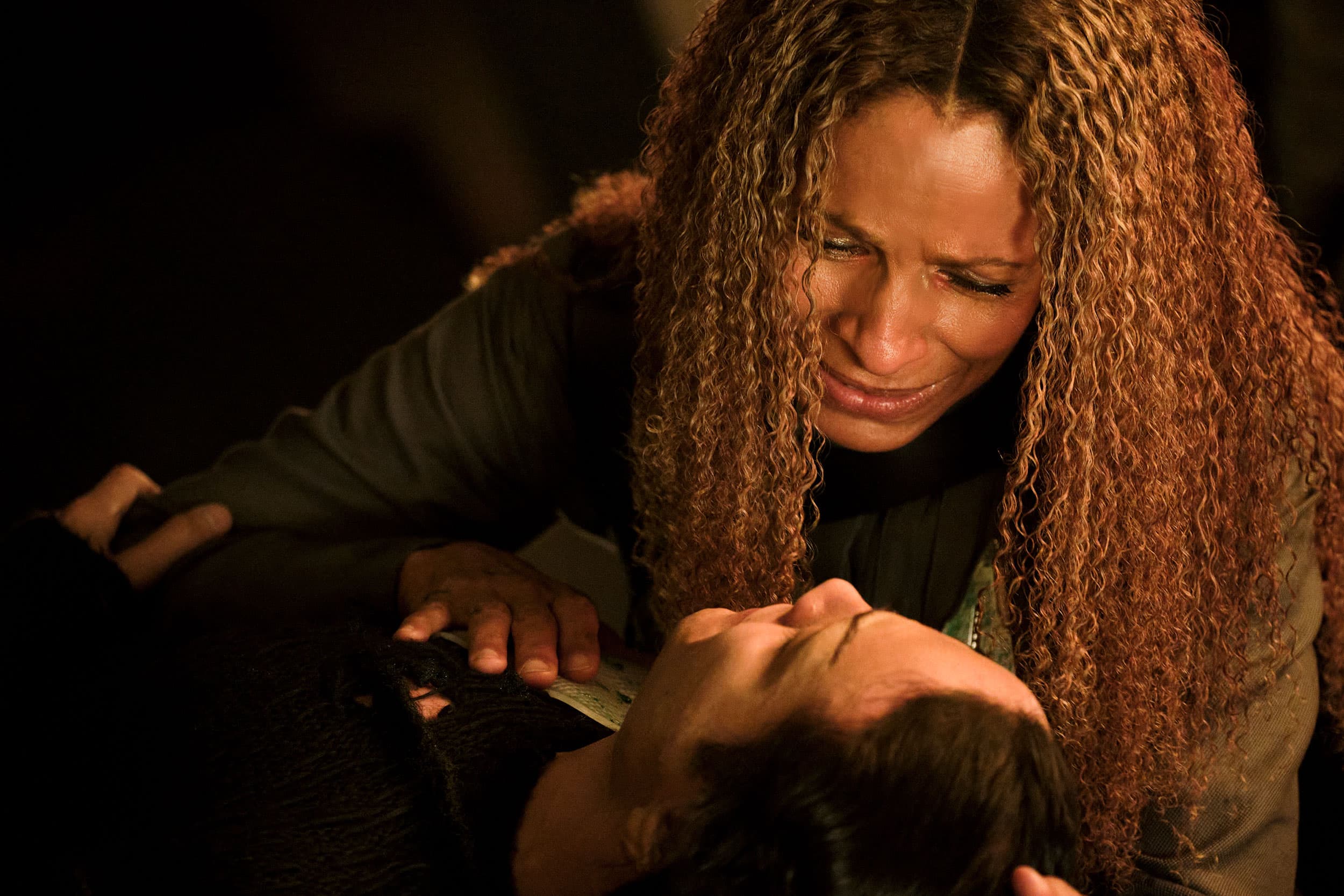 Assimilation - Screenshot 9