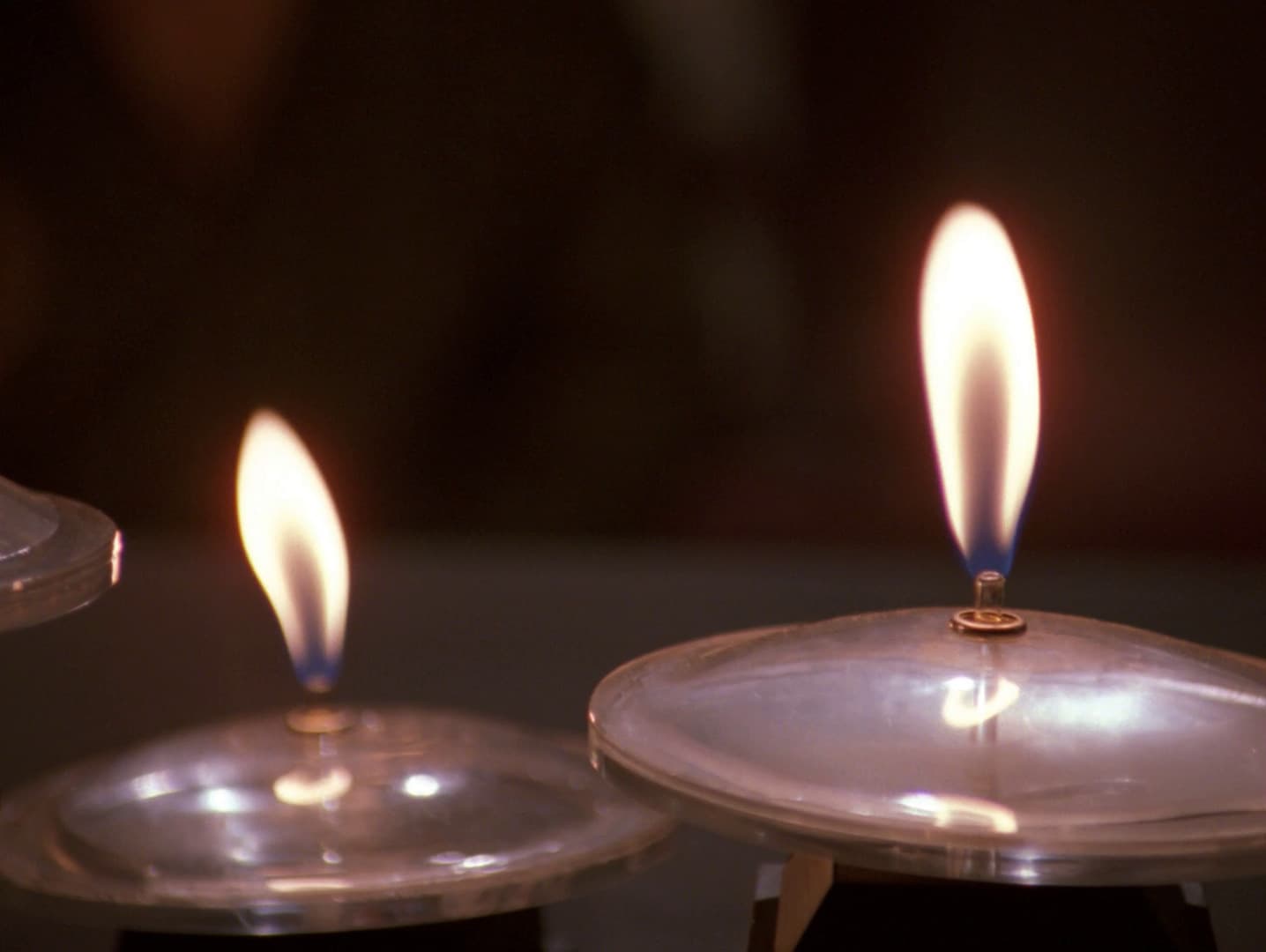 Realm of Fear - Screenshot 8