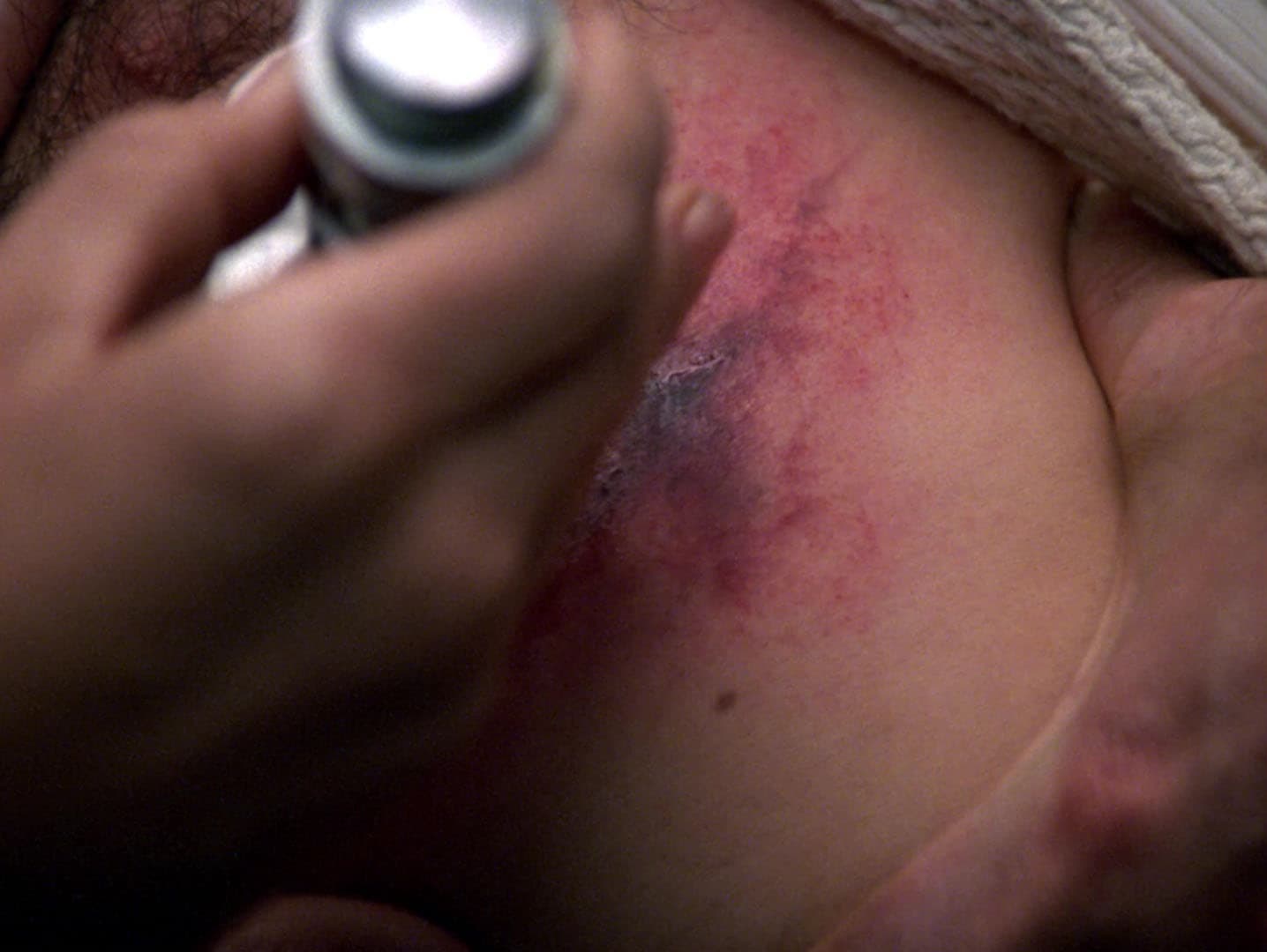 The Pegasus - Screenshot 12