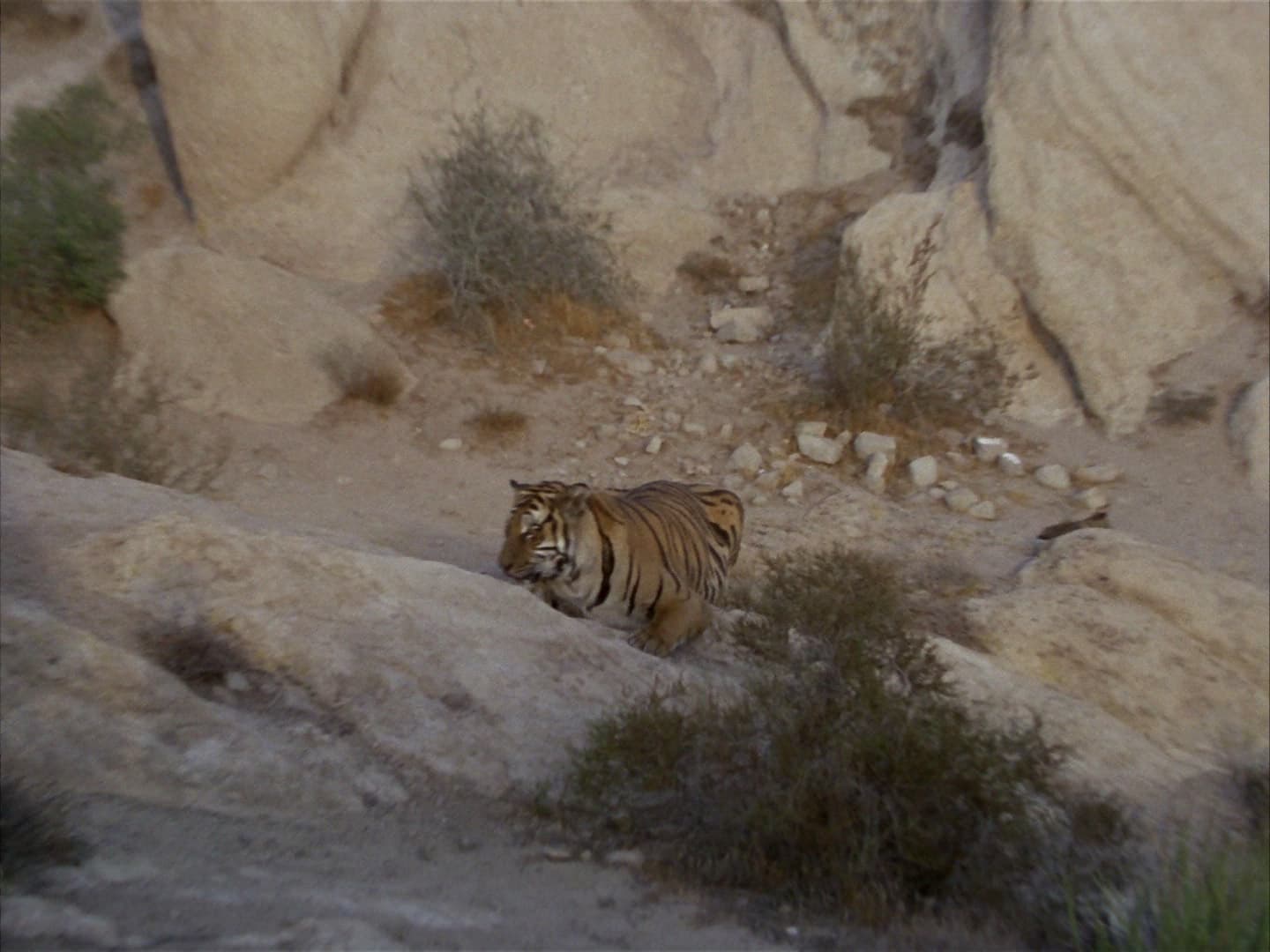 Shore Leave - Screenshot 11