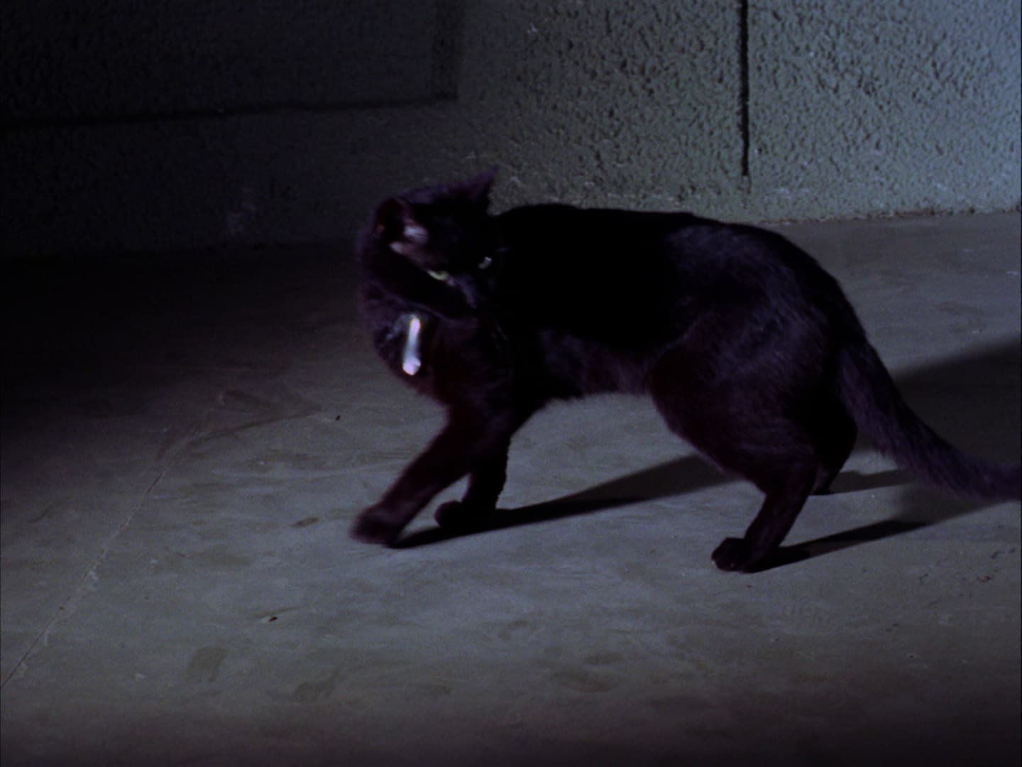 Catspaw - Screenshot 7