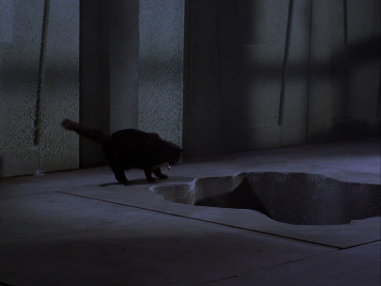 Catspaw - Screenshot 9