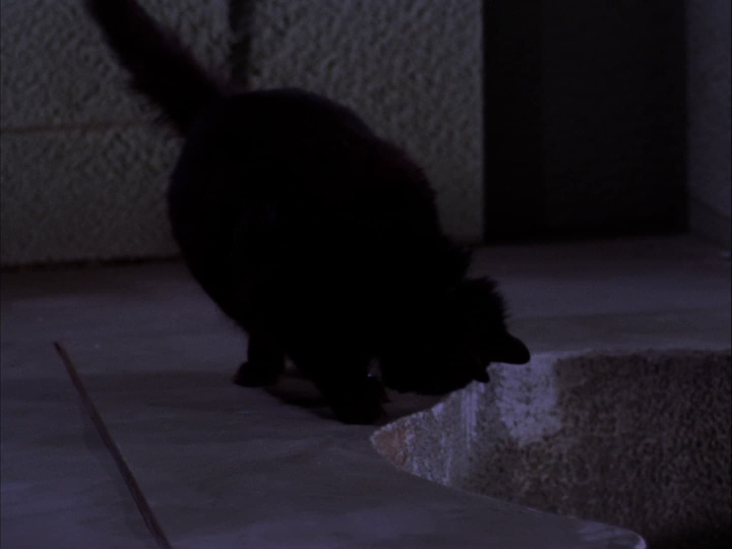 Catspaw - Screenshot 8