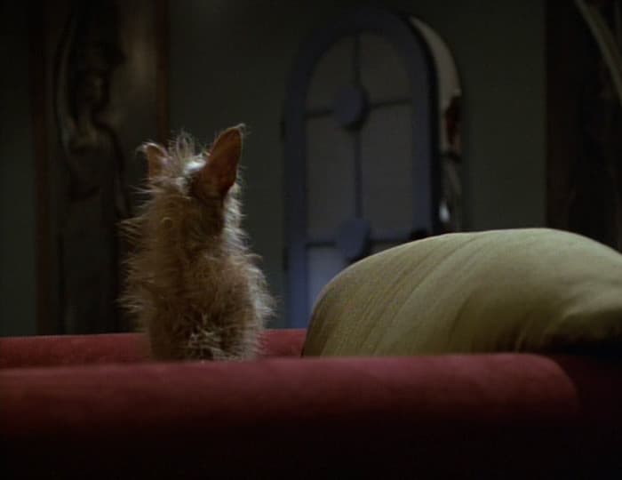 Ex Post Facto - Screenshot 3