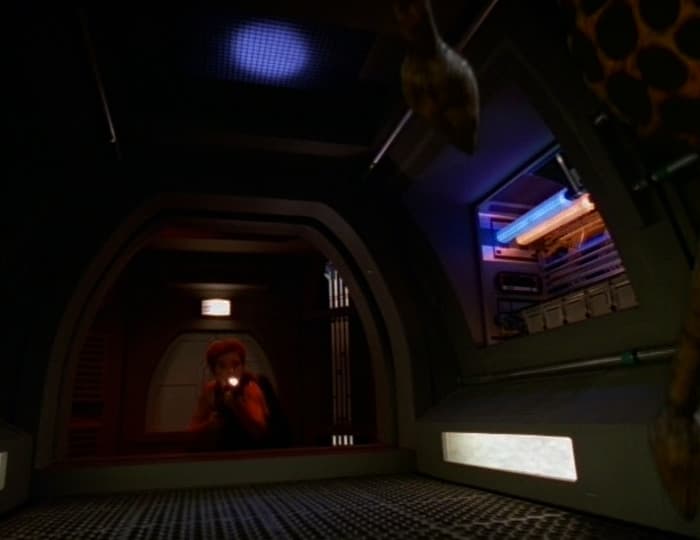 Macrocosm - Screenshot 4