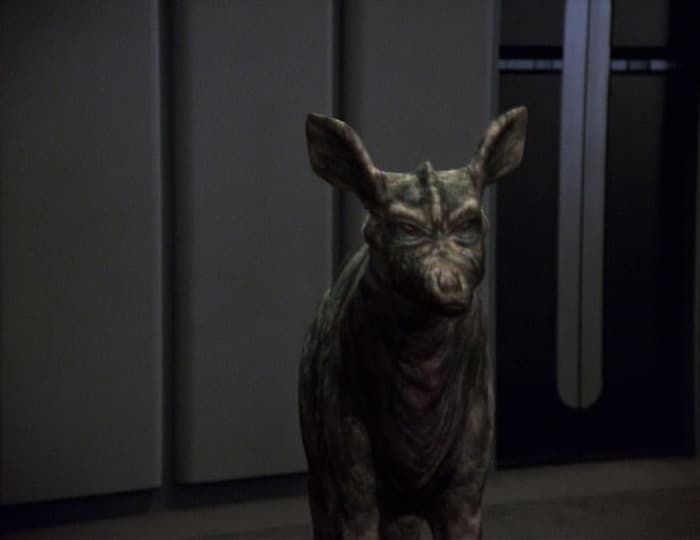 Waking Moments - Screenshot 10