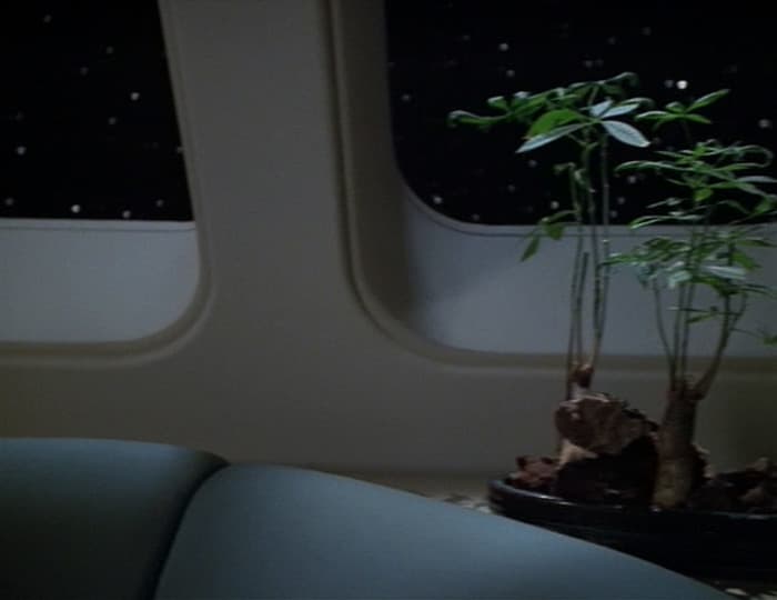 Vis à Vis - Screenshot 5