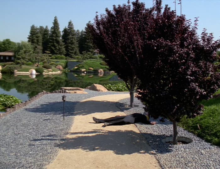 In the Flesh - Screenshot 2