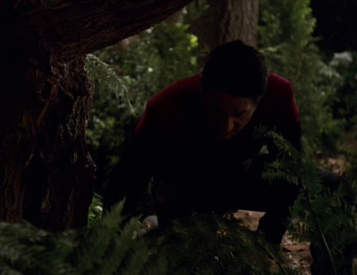 Natural Law - Screenshot 6