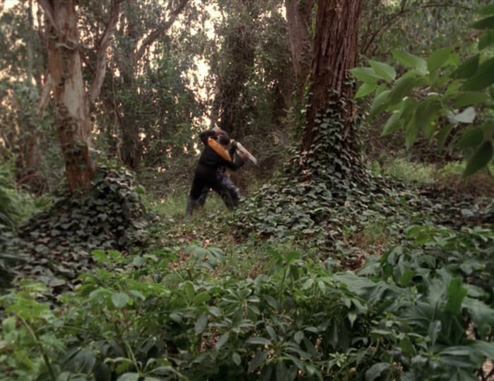 Flesh and Blood, Part I